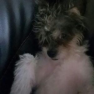 Meet your Posher, Zachary