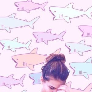 Meet your Posher, Alli