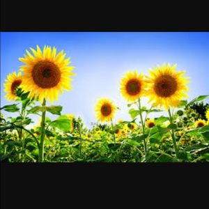 Meet your Posher, Jenifer