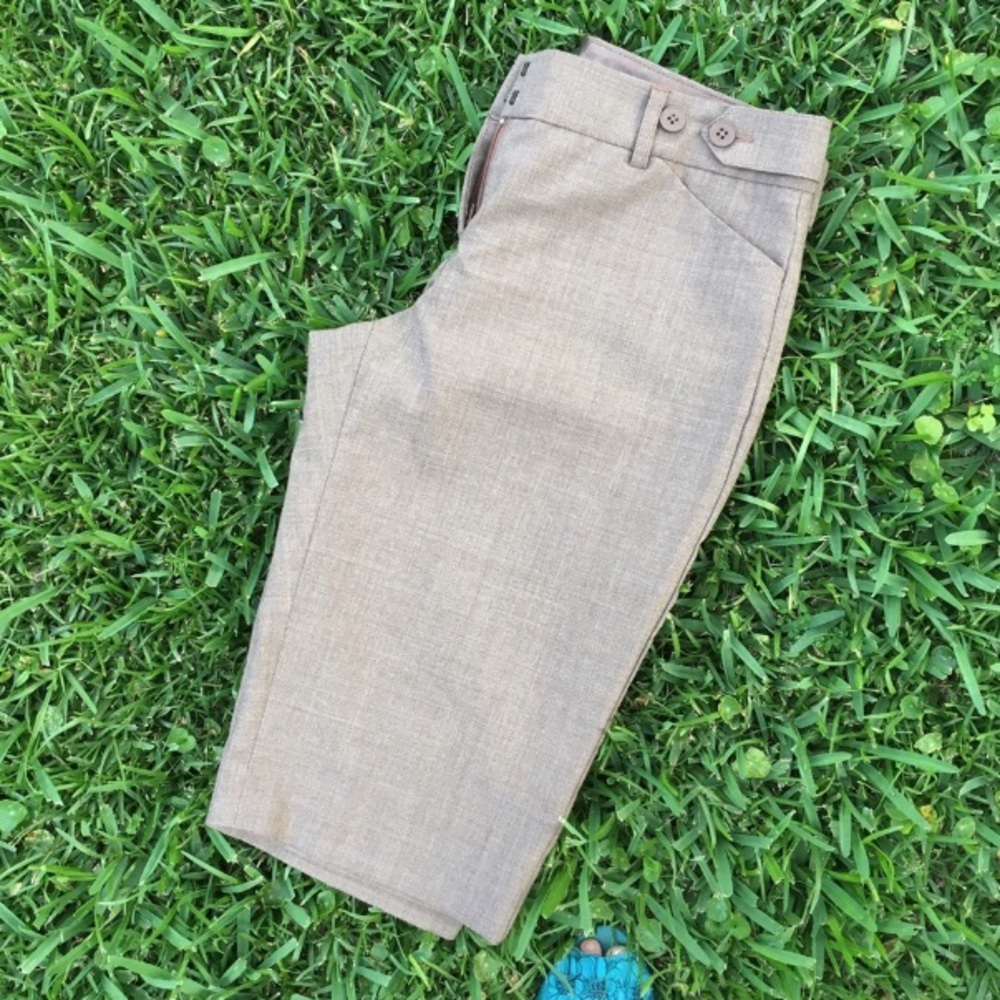Express Editor Brown Shorts