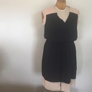 Black and Tan Dress