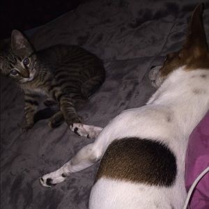 Meet your Posher, Hannah