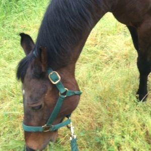 Meet your Posher, Kylee