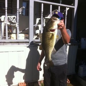 Meet your Posher, Alex