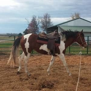 Meet your Posher, Stefanie