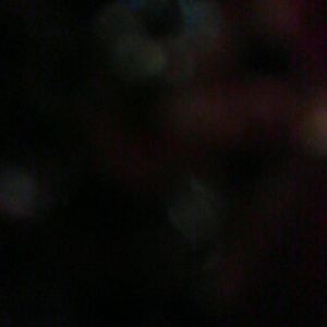 Meet your Posher, Cesar