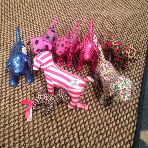 VS Dog Bundle