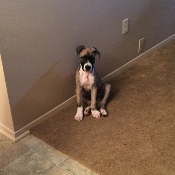 Meet your Posher, Kim - Picture 1 of 1