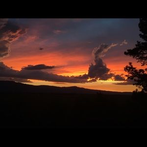 Meet your Posher, Phyllis