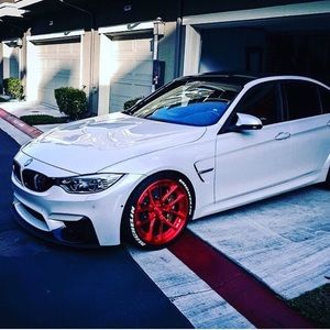 Meet your Posher, Shane