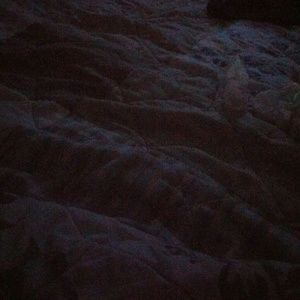 Meet your Posher, Goldie