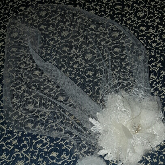 ?Birdcage veil and matching flower clip?