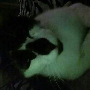 Meet your Posher, Shawna