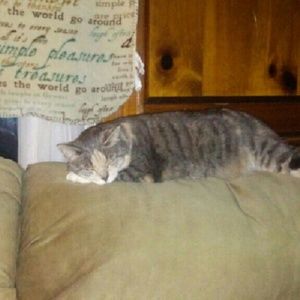 Meet your Posher, James