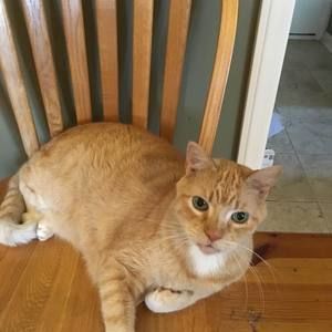 Meet your Posher, Judy