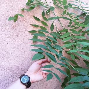 Jord Wooden Watch Fieldcrest Sandalwood