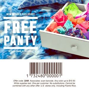 This is just a coupon for VS panties