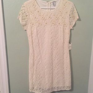 Brand 🆕 Lace Fitted Forever 21 Dress!