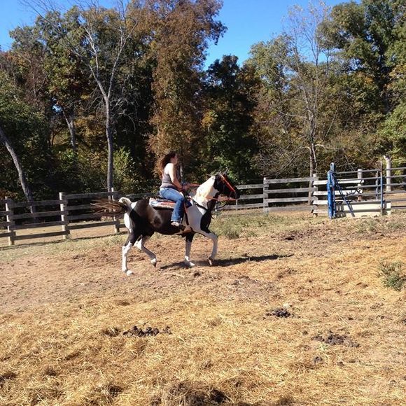 Meet your Posher, Bree