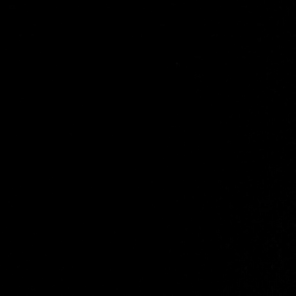 Meet your Posher, Kalynn