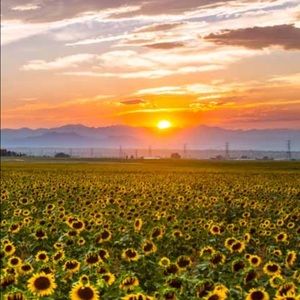 Meet your Posher, Georgia