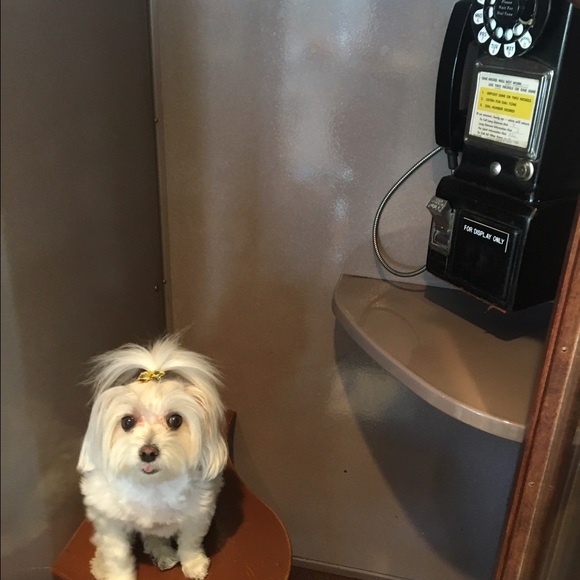 🎨NEW ARRIVALS🎨 - Picture 2 of 13