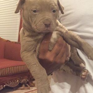 Meet your Posher, Nasrin