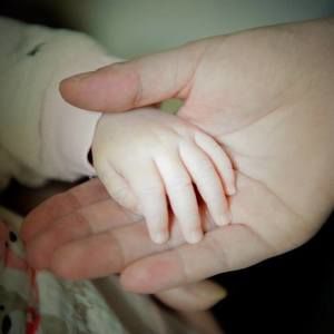 Meet your Posher, Anne