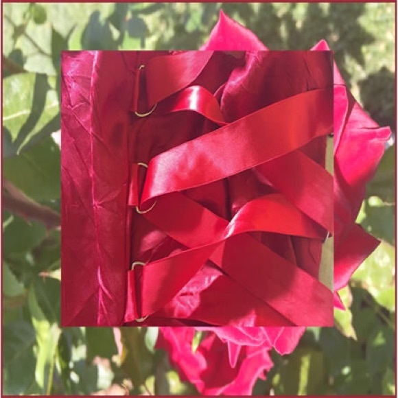 Ruby-ish red skirt and halter - Picture 3 of 3