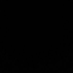 Meet your Posher, Faith