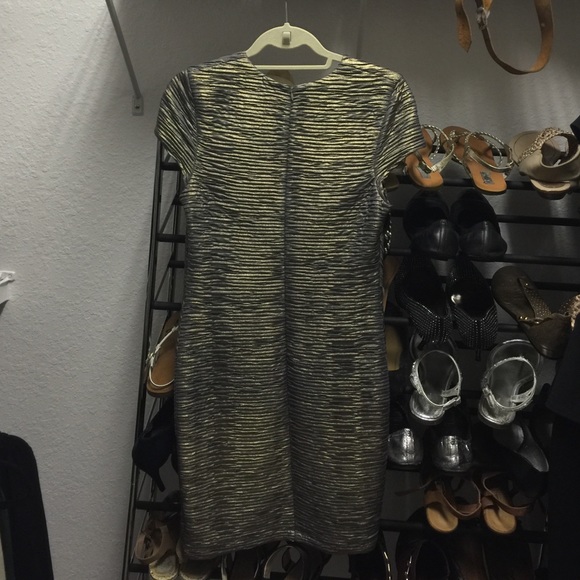 Torn by Ronnie kobo dress - Picture 3 of 3