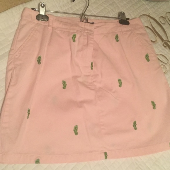 J Crew Skirt
