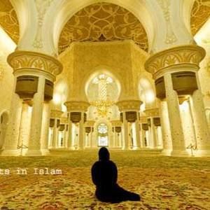 Meet your Posher, Malo