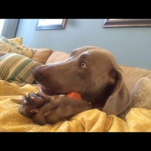 Meet your Posher, Megan