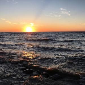 Meet your Posher, Kira