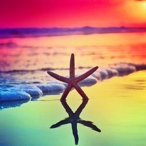 Meet your Posher, Sandy