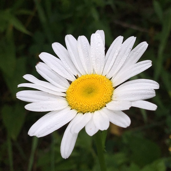 Meet your Posher, Bhumi - Picture 1 of 1