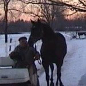 Meet your Posher, Mary