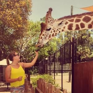 Meet your Posher, Alanna