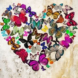 Meet your Posher, Candace