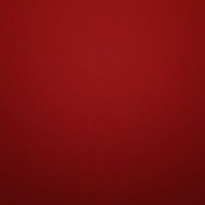 Meet your Posher, Priscilla