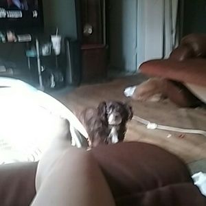 Meet your Posher, Felicia