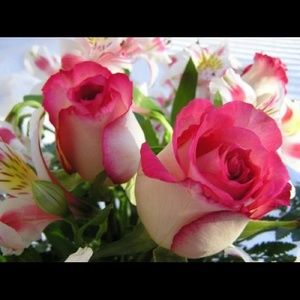 Meet your Posher, Judith