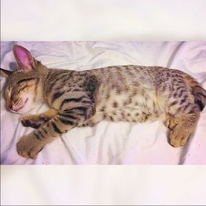 Meet your Posher, Ruby