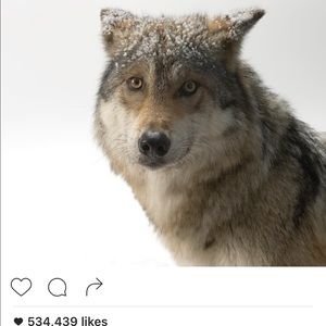 Meet your Posher, Jan