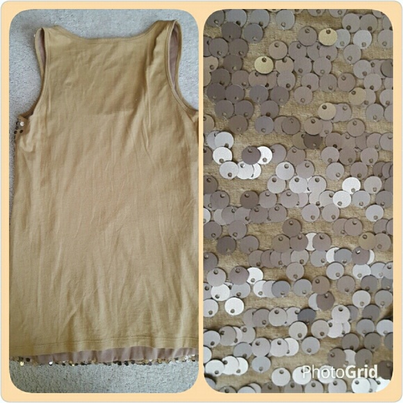 Ann Taylor Shimmery Tank - Picture 3 of 3
