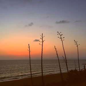 Meet your Posher, Mandi