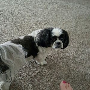 Meet your Posher, Diane