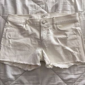 Women's loft shorts
