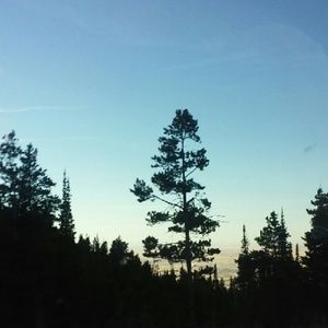 Meet your Posher, Ava